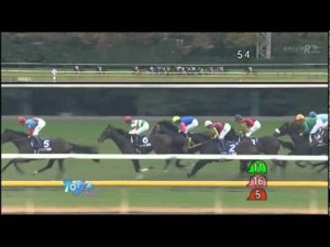 2011 11 27　ジャパンカップ　ブエナビスタ　レース動画