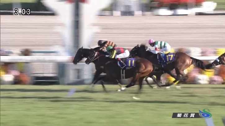 菊花賞2015 キタサンブラック