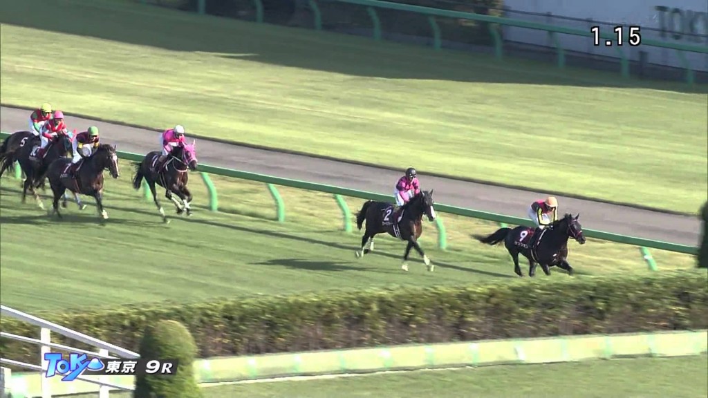 【東京ハイジャンプ 2017】動画・結果/オジュウチョウサンが大差圧勝