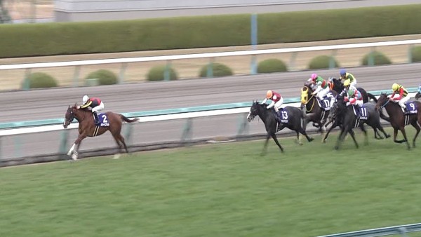 阪神ジュベナイルフィリーズ 2015 メジャーエンブレム 動画・結果