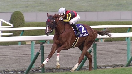 メジャーエンブレム