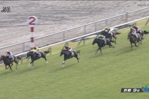紫菊賞2015 シルバーステート 動画・結果