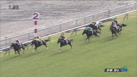 紫菊賞2015 シルバーステート 動画・結果