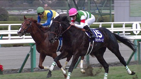 リオンディーズ