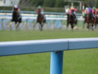 競馬の魅力 アイキャッチ 11