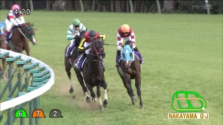 中山グランドジャンプ 2016