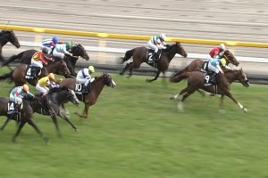 【スイートピーステークス 2016】動画・結果/ジェラシーが叩き合いを制し優勝