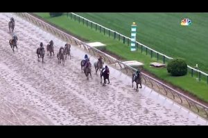 【プリークネスステークス 2016】動画・結果/エグザジャレイター（Exaggerator）が優勝・ラニは5着