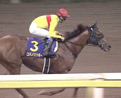 【帝王賞 2016】動画・結果/コパノリッキーが後続に3馬身半差をつける圧勝劇