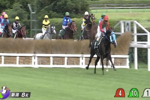 【新潟ジャンプステークス 2016】動画・結果/タイセイドリームが3連勝で重賞制覇を飾る