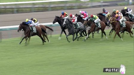 【京成杯オータムハンデキャップ 2016】動画・結果/ロードクエストが得意のマイル戦を制する