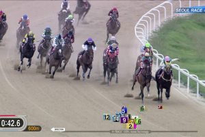 【コリアスプリント 2016】動画・結果/スーパージョッキーが優勝・日本馬はグレープブランデーの3着が最高