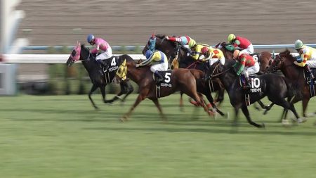 【オパールステークス 2016】動画・結果/ラインスピリットがまんまと逃げきる