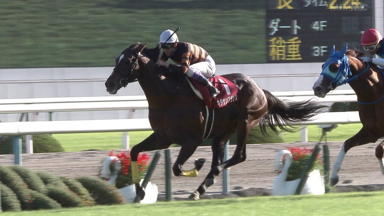 京都大賞典 2016 キタサンブラック