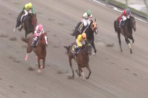 【マイルチャンピオンシップ南部杯 2016】動画・結果/コパノリッキーがレコードタイムで圧勝