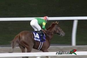 【エーデルワイス賞 2016】動画・結果/リエノテソーロが5馬身差で圧勝