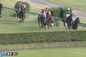 【東京ハイジャンプ 2016】動画・結果/オジュウチョウサンがカラ馬に絡まれながらもねじ伏せる