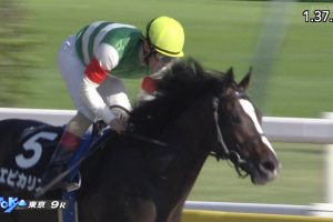 【プラタナス賞 2016】動画・結果/エピカリスが7馬身の差をつけ圧勝