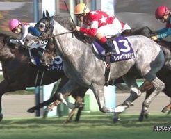 スプリンターズステークス 2016 レッドファルクス