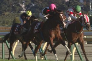 【京王杯2歳ステークス 2016】動画・結果/モンドキャンノが差し切り重賞初制覇