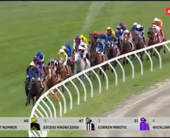 【メルボルンカップ 2016】動画・結果/アルマンダンが優勝・カレンミロティックは23着に沈む