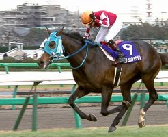 【中山大障害 2016】動画・結果/オジュウチョウサンが圧勝で春秋制覇達成