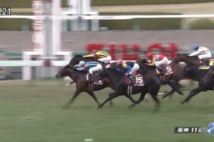 阪神カップ 2016 シュウジ