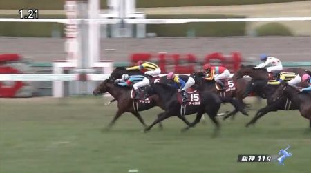 阪神カップ 2016 シュウジ