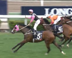 香港マイル 2016 ビューティーオンリー