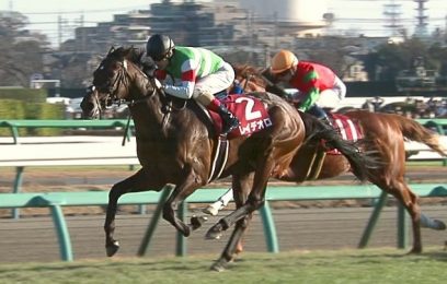 有馬記念18 予想オッズ