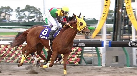 チャンピオンズカップ 2016 サウンドトゥルー