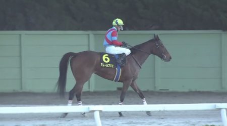 名古屋グランプリ 2016 アムールブリエ