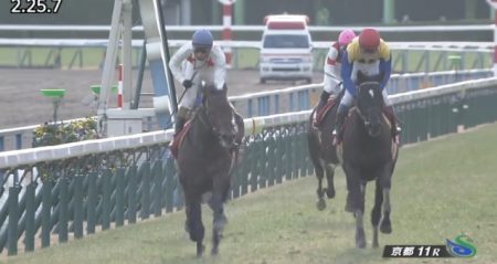 日経新春杯 2017 ミッキーロケット