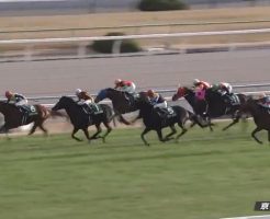 京都金杯 2017 エアスピネル