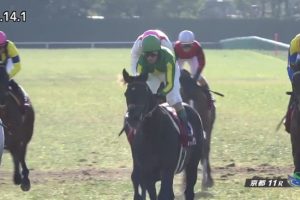 京都記念 2017 サトノクラウン