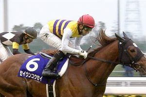 2017 高松宮記念 セイウンコウセイ