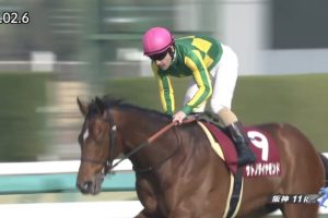 2017年 阪神大賞典 サトノダイヤモンド