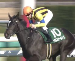 チューリップ賞 2017 ソウルスターリング