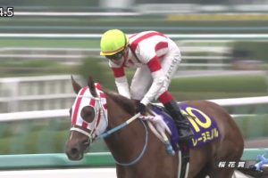 桜花賞 2017 レーヌミノル