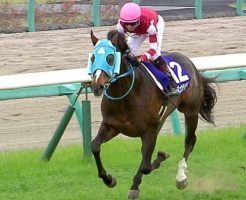 中山グランドジャンプ 2017 オジュウチョウサン
