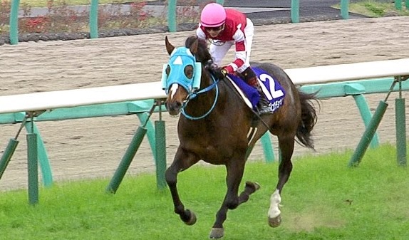 中山グランドジャンプ 2017 オジュウチョウサン