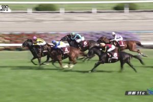 マイラーズカップ 2017 イスラボニータ