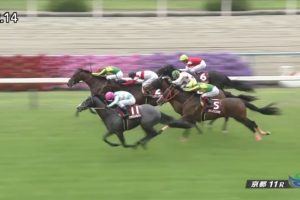 京都新聞杯 2017 プラチナムバレット