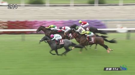 京都新聞杯 2017 プラチナムバレット