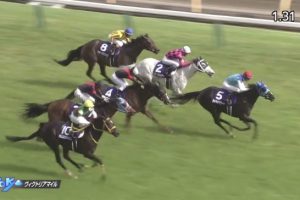 ヴィクトリアマイル 2017 アドマイヤリード