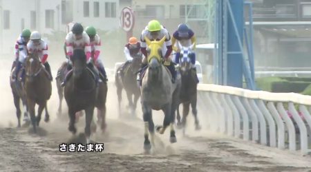 さきたま杯 2017 ホワイトフーガ