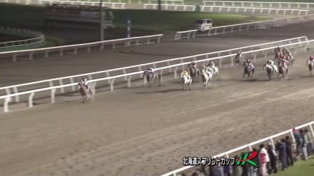 北海道スプリントカップ 2017 ニシケンモノノフ