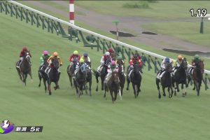 サクステッドが好位から抜けだし快勝/動画・結果【2歳新馬戦】