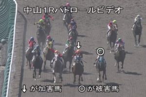 丹内祐次騎手がマイネルサリューエ号で斜行し10月8日まで騎乗停止