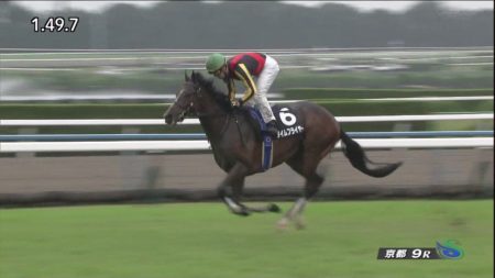 【萩ステークス 2017】動画・結果/タイムフライヤーが4馬身差をつけ圧勝